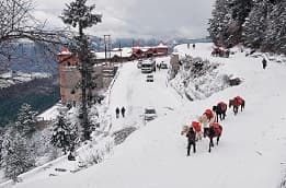 Delhi - Shimla